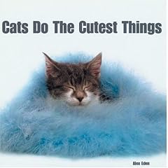 Cats Do the Cutest Things