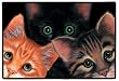 Peeping Tom Cats Tomcat Kittens Doormat Mat Rug Sue Hall