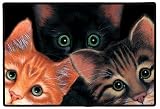 Peeping Tom Cats Tomcat Kittens Doormat Mat Rug Sue Hall