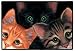 Peeping Tom Cats Tomcat Kittens Doormat Mat Rug Sue Hall