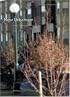 New Urbanism (Michigan Debates on Urbanism)