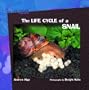 The Life Cycles of a Snail (Life Cycles Library)