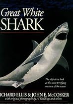 Great White Shark
