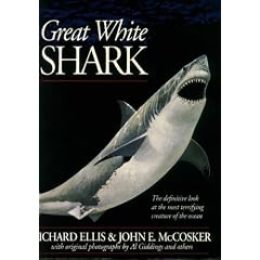 Great White Shark