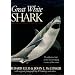 Great White Shark