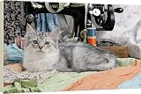 Canvas Prints of CAT. Tiffanie with sewing machine from Ardea Wildlife Pets