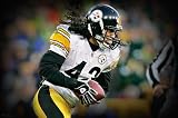 NFL Pittsburgh Steelers Troy Polamalu In Your Face Mural Wall Graphic