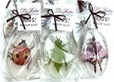 Monarch Butterfly - Bugs in Your Soap! Fingerpuppet in Glycerin Soap