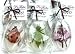 Bee - Bugs in Your Soap!Fingerpuppet in Glycerin Soap - Made in USA