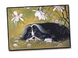 Shih Tzu Shih Tzus Dogs Dog Doormat
