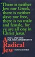 A Radical Jew: Paul and the Politics of Identity (Contraversions, 1)