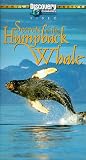 Secrets of the Humpback Whale [VHS]