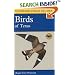 A Field Guide to the Birds of Texas: and Adjacent States (Peterson Field Guides (R))