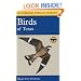 A Field Guide to the Birds of Texas: and Adjacent States (Peterson Field Guide Series)