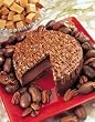 Chocolate Caramel Turtle Silk
