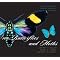 Field Guides - Costa Rica