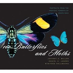 100 Butterflies and Moths: Portraits from the Tropical Forests of Costa Rica