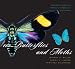 100 Butterflies and Moths: Portraits from the Tropical Forests of Costa Rica