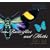 100 Butterflies and Moths: Portraits from the Tropical Forests of Costa Rica