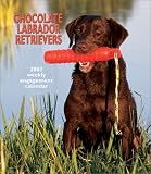 Chocolate Labrador Retrievers 2003 Calendar