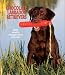 Chocolate Labrador Retrievers 2003 Calendar
