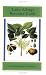 Latex Allergy Resource Guide