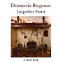 Domestic Bygones (Shire Album)