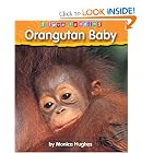 Orangutan Baby (I Love Reading) by Monica Hughes