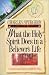 Book What the Holy Spirit Does in a Believer's Life (Christian Living/Classics) (Believer's Life Series) (Believer's Life Series)