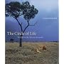 The Circle of life: Wildlife on the African Savannah