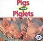 Pigs Have Piglets