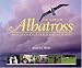 Majestic Albatross of Kauai