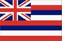 Hawaii State Flag Nylon 2 ft. x 3 ft.