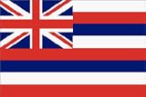 Hawaii State Flag Nylon 12 in. x 18 in.
