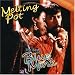 Melting Pot - The Best Of