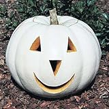 Ghostly White Pumpkin 10 Seeds - Lumina - FREE SHIPPING ON ADDITIONAL HIRTS SEEDS