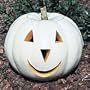 Ghostly White Pumpkin 10 Seeds- Lumina
