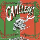 Revue Les Caméléons  / I Viva La Fiesta !