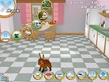 101 Bunny Pets (PC CD)
