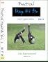 Practical Hapkido DVD - Punch Defense Special Edition