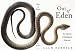 Out of Eden: An Odyssey of Ecological Invasion