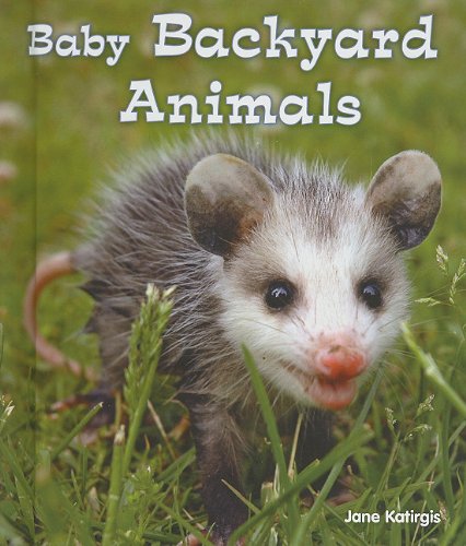 Baby Backyard Animals (All About Baby Animals)