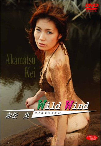 Wild Wind [DVD]