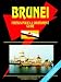 Brunei Foreign Policy and Governemnt Guide
