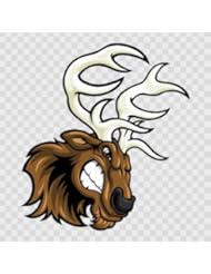 Angry Male Deer Head... Color print (24 X 21.6 inch) W9X28