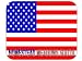 US Flag - Homestead Meadows South, Texas (TX) Mouse Pad