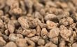 Cocoa Nibs - Caramelized by ChefShop