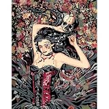 Ravensburger 28388 - Favole IRIA - Malen nach Zahlen, 24x30 cm