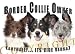 Border Collie Vice Versa Adult T Shirt