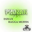 Influx / Ragga Muffin
